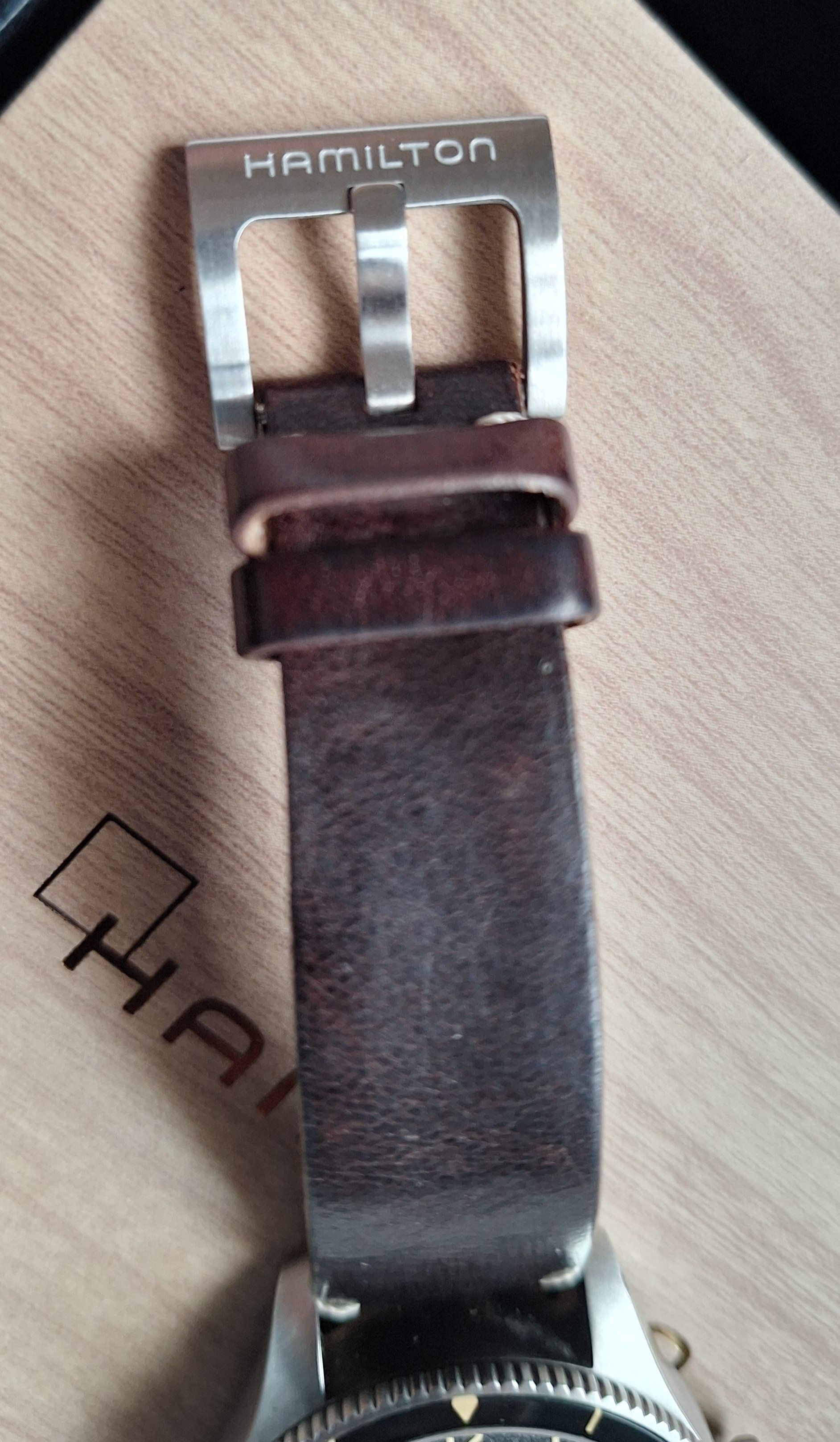 Hamilton Aviation Pilot Pioneer — foto