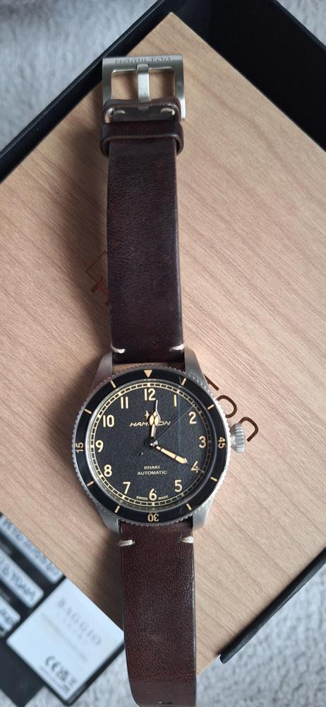 Hamilton Aviation Pilot Pioneer — foto