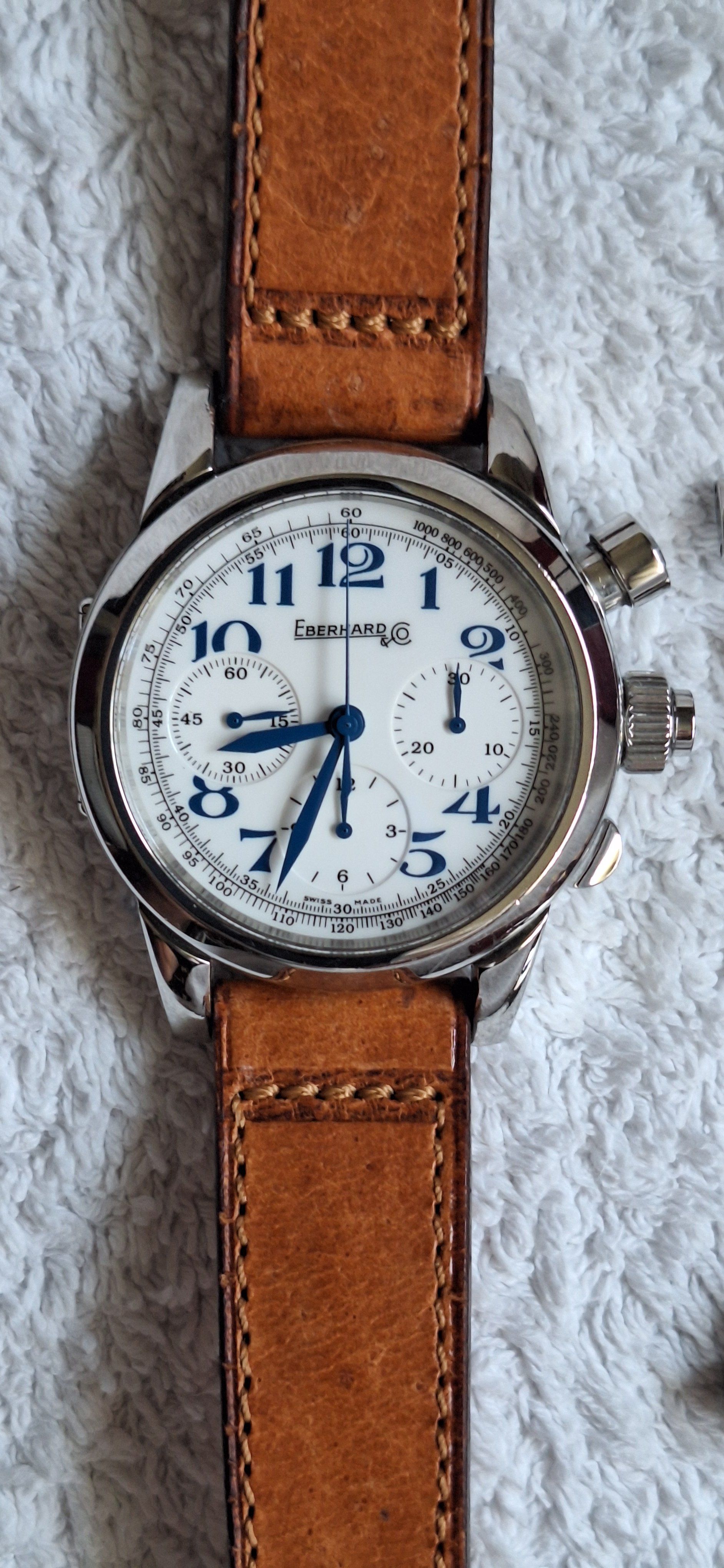 Eberhard Tazio Nuvolari Vanderbilt Cup