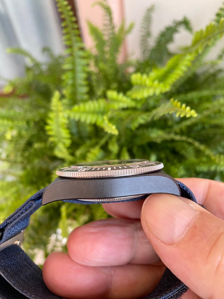 Tudor Pelagos — foto