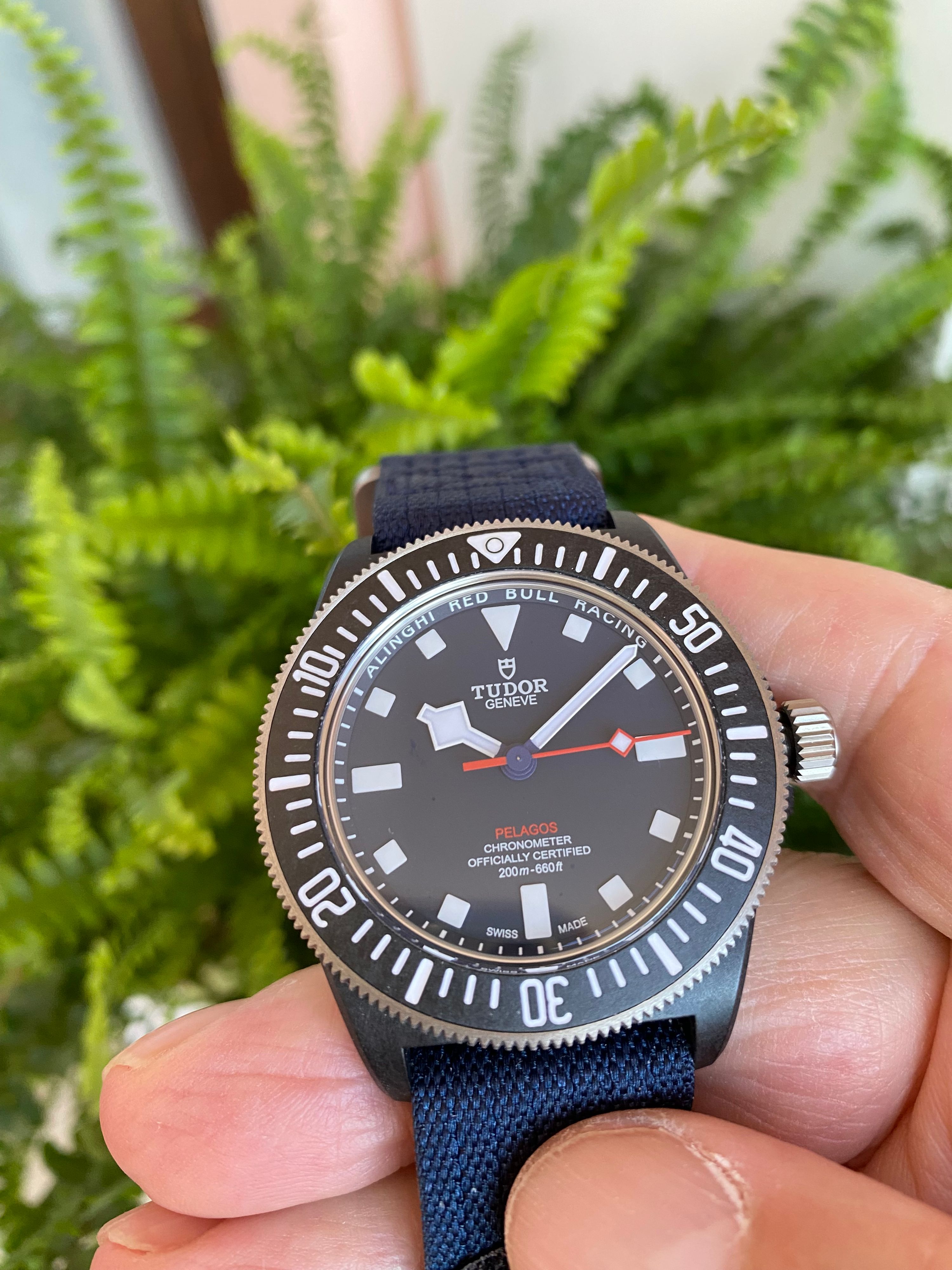 Tudor Pelagos