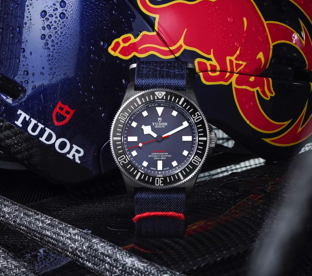 Tudor Pelagos — foto