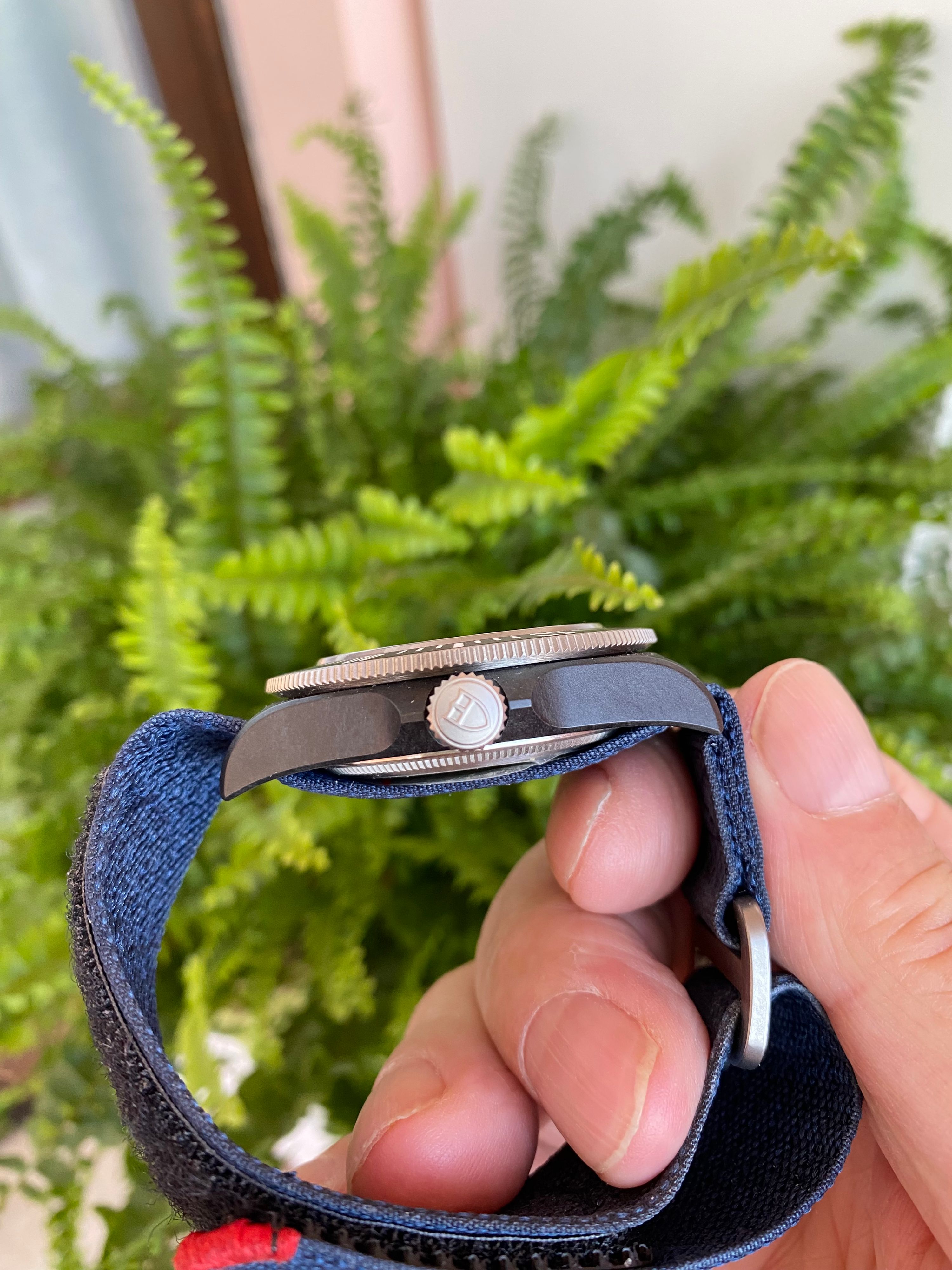 Tudor Pelagos — foto
