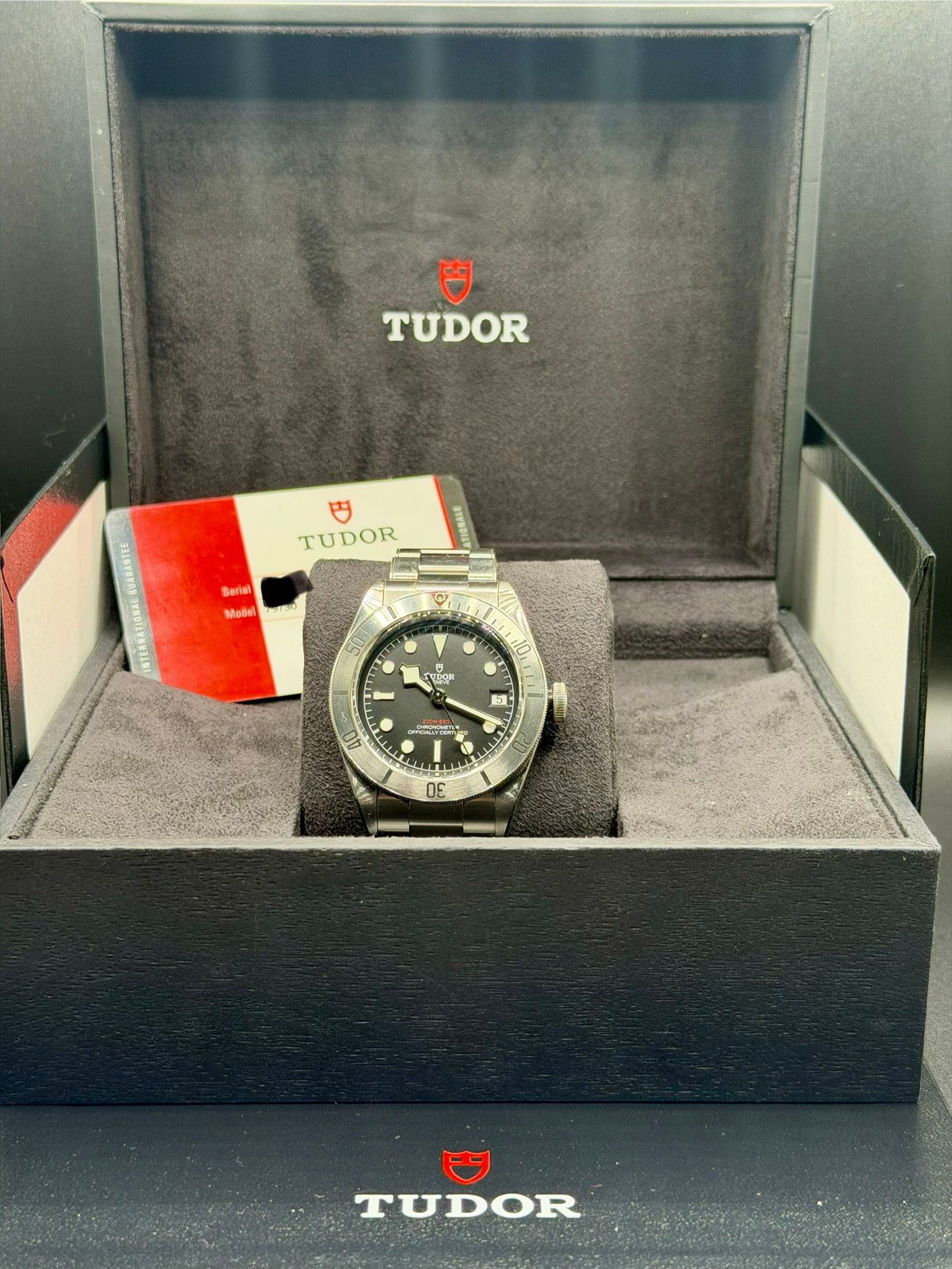 Tudor Blackbay Steel — foto