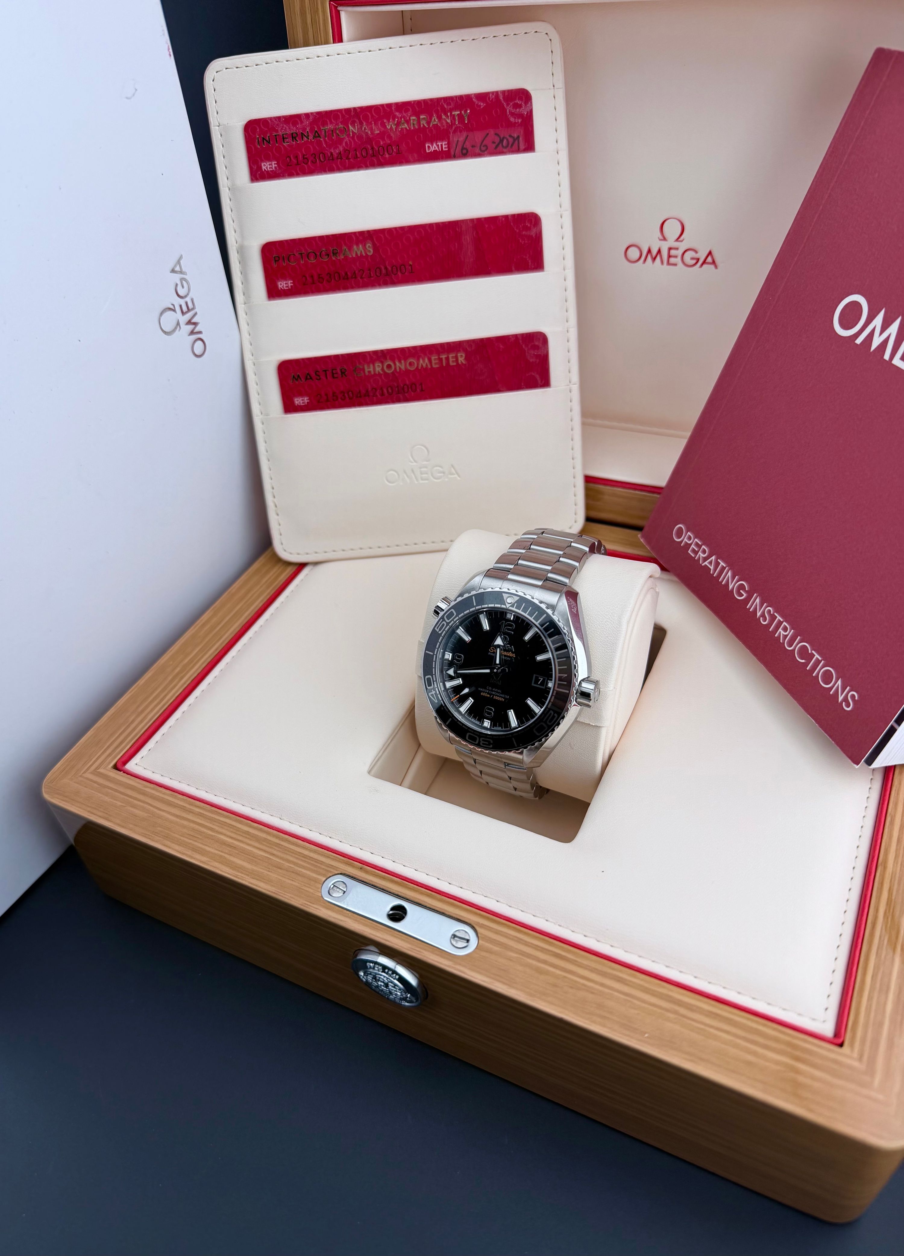 Omega Seamaster Planet Ocean 600M — foto