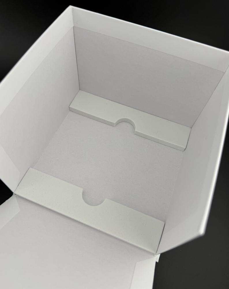 Box Seiko completo — foto